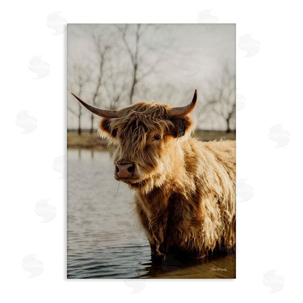 stupell industries Dakota Diener | Peering Cattle in Water