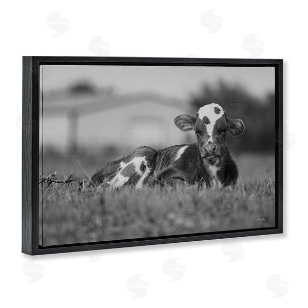 Stupell Industries Dakota Diener | Resting Cow In Grass