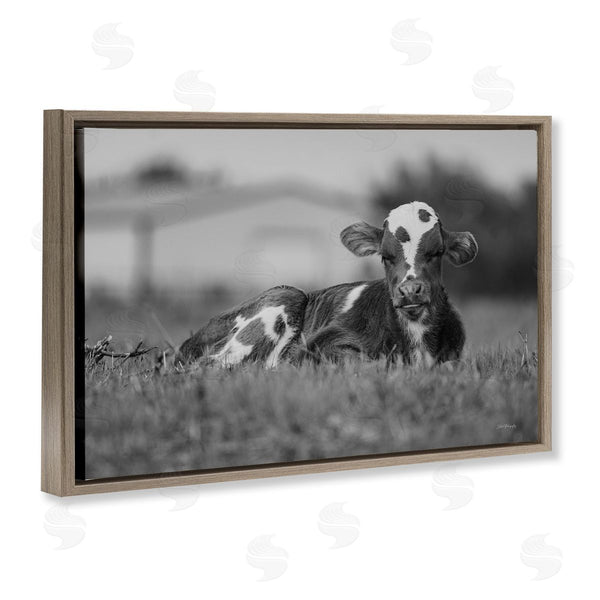 Stupell Industries Dakota Diener | Resting Cow In Grass
