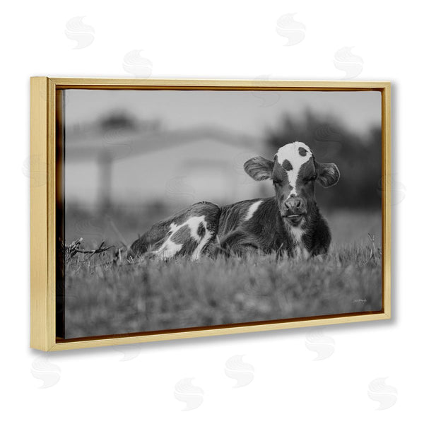 Stupell Industries Dakota Diener | Resting Cow In Grass
