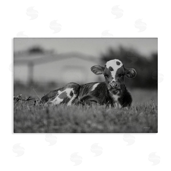stupell industries Dakota Diener | Resting Cow in Grass