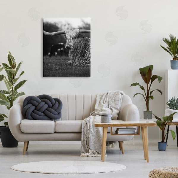 Stupell Industries Dakota Diener | Resting Longhorn Photography Wall Art