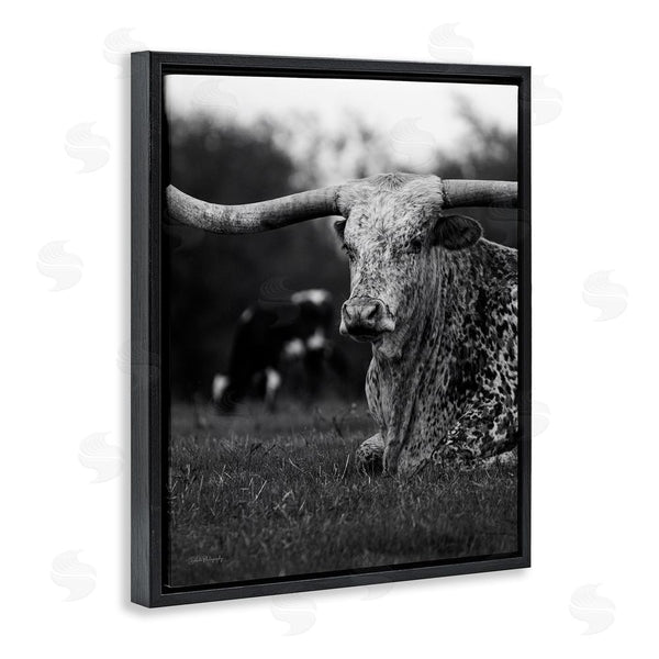 Stupell Industries Dakota Diener | Resting Longhorn Photography Wall Art