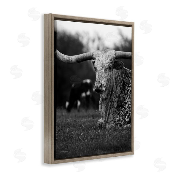 Stupell Industries Dakota Diener | Resting Longhorn Photography Wall Art