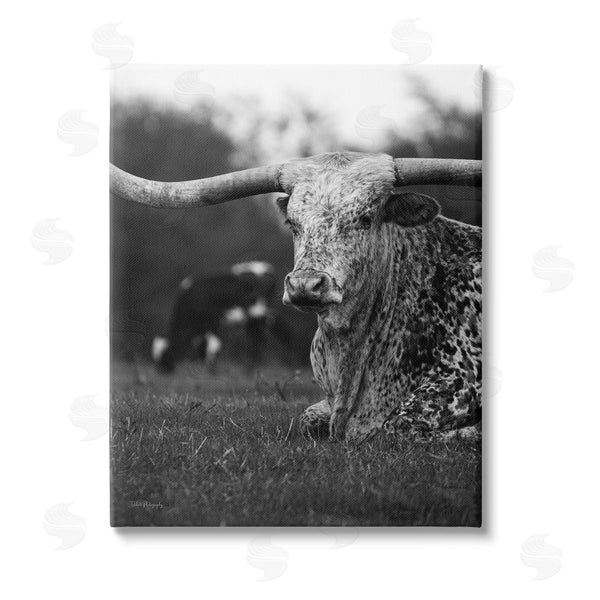 stupell industries Dakota Diener | Resting Longhorn Photography Wall Art