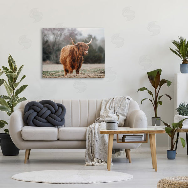 Stupell Industries Dakota Diener | Serene Highland Cattle Rural Pasture Daylight Sun Wall Art