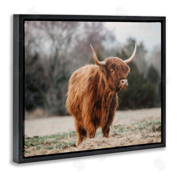 Stupell Industries Dakota Diener | Serene Highland Cattle Rural Pasture Daylight Sun Wall Art
