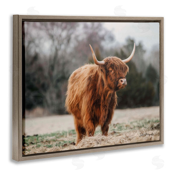Stupell Industries Dakota Diener | Serene Highland Cattle Rural Pasture Daylight Sun Wall Art