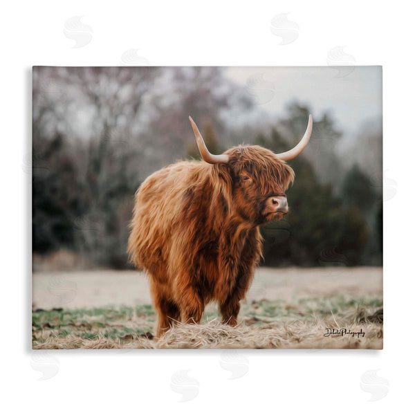 stupell industries Dakota Diener | Serene Highland Cattle Rural Pasture Daylight Sun Wall Art
