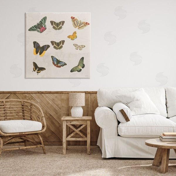 Stupell Industries Dan Meneely | Antique Butterfly Flight Wall Art