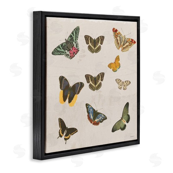 Stupell Industries Dan Meneely | Antique Butterfly Flight Wall Art