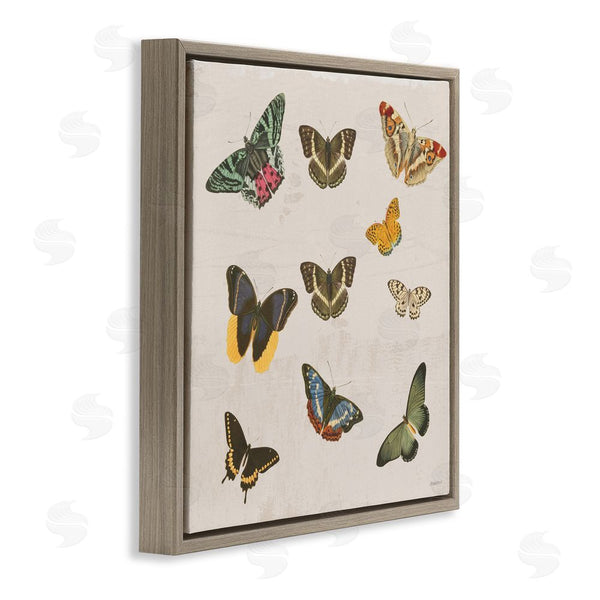 Stupell Industries Dan Meneely | Antique Butterfly Flight Wall Art