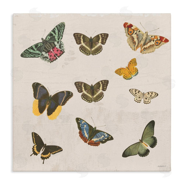 stupell industries Dan Meneely | Antique Butterfly Flight Wall Art