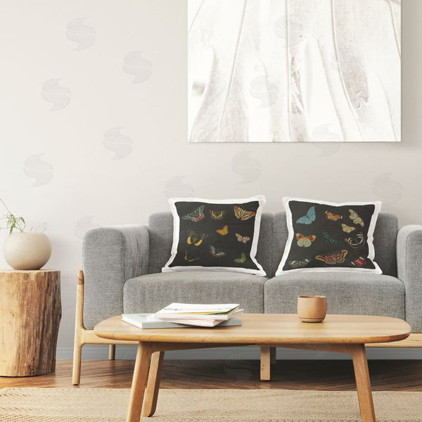 Stupell Industries Dan Meneely | Assorted Butterflies On Black Throw Pillow