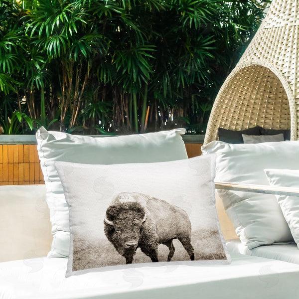 Stupell Industries Dan Meneely | Bison Distressed Portrait