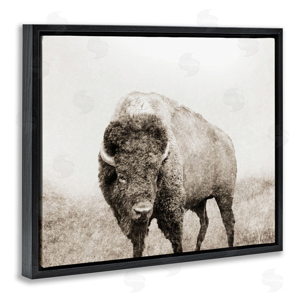 Stupell Industries Dan Meneely | Bison Distressed Portrait