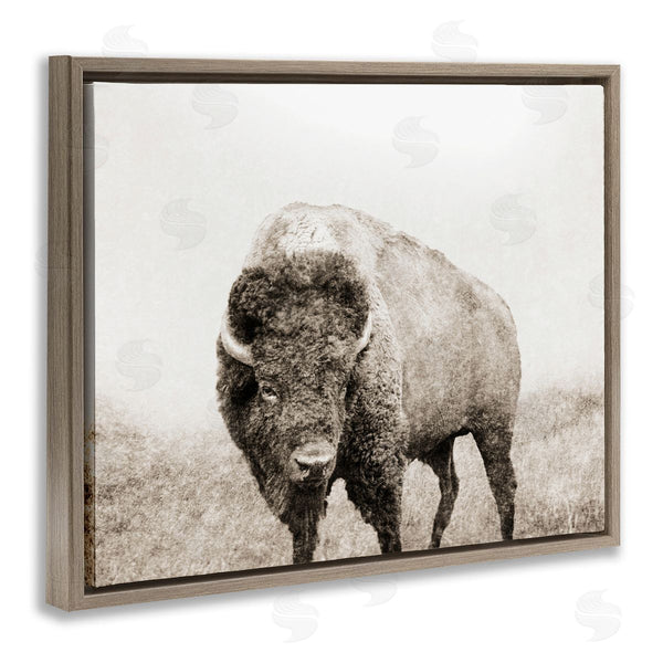 Stupell Industries Dan Meneely | Bison Distressed Portrait