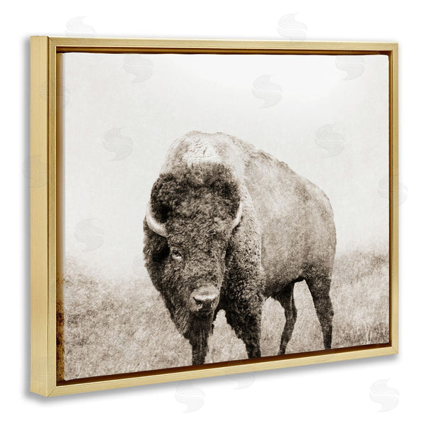 Stupell Industries Dan Meneely | Bison Distressed Portrait
