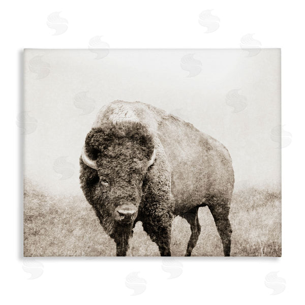 stupell industries Dan Meneely | Bison Distressed Portrait