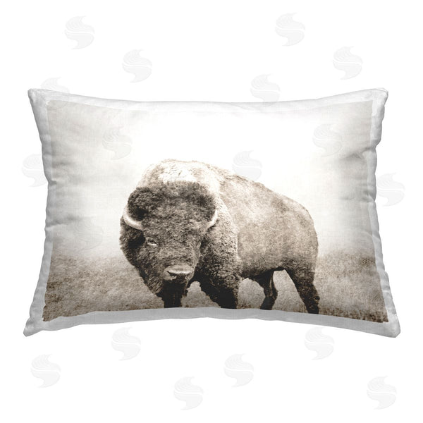 stupell industries Dan Meneely | Bison Distressed Portrait