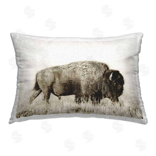 Stupell Industries Dan Meneely | Bison Grazing In Field