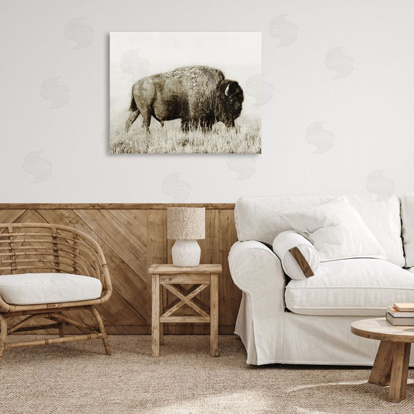 Stupell Industries Dan Meneely | Bison Grazing In Field Wall Art