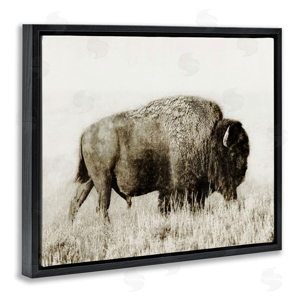 Stupell Industries Dan Meneely | Bison Grazing In Field Wall Art