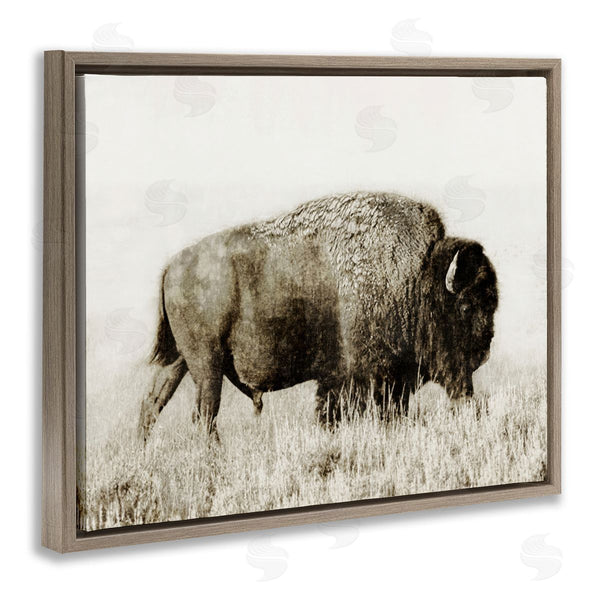 Stupell Industries Dan Meneely | Bison Grazing In Field Wall Art