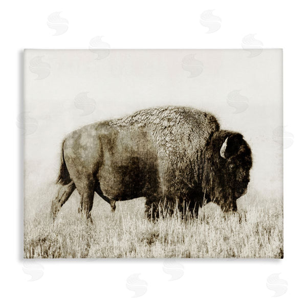 stupell industries Dan Meneely | Bison Grazing in Field Wall Art