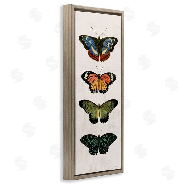 Stupell Industries Dan Meneely | Butterfly Lineup Vintage Wall Art