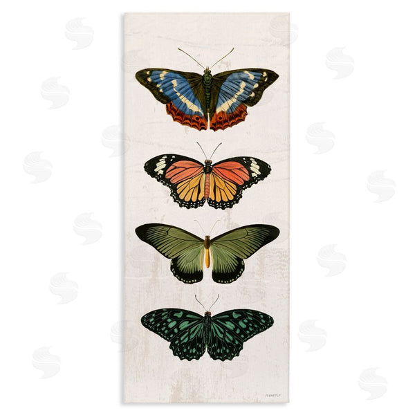 stupell industries Dan Meneely | Butterfly Lineup Vintage Wall Art