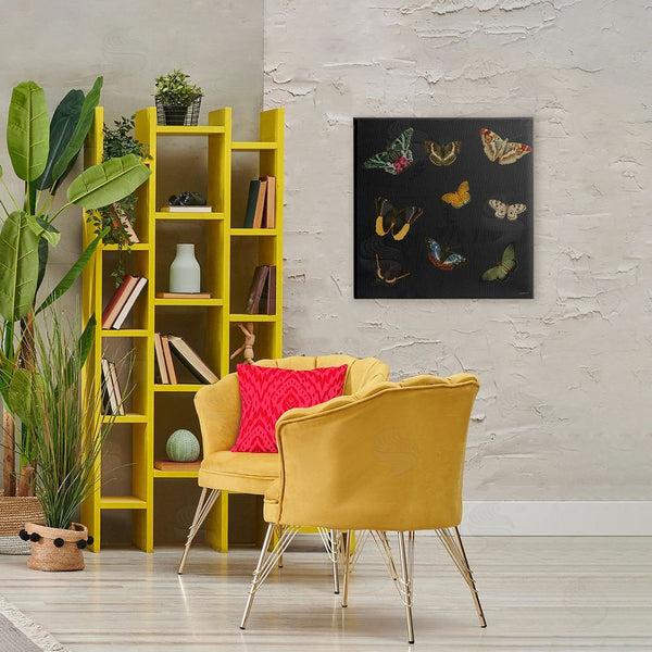 Stupell Industries Dan Meneely | Butterfly & Moth Collection Wall Art