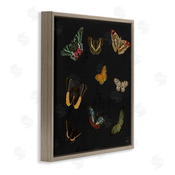 Stupell Industries Dan Meneely | Butterfly & Moth Collection Wall Art
