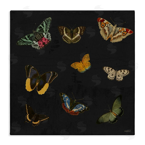 stupell industries Dan Meneely | Butterfly & Moth Collection Wall Art