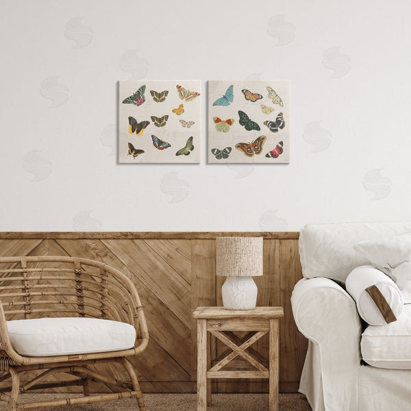 Stupell Industries Dan Meneely | Collection Of Vintage Butterflies Wall Art
