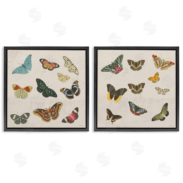 Stupell Industries Dan Meneely | Collection Of Vintage Butterflies Wall Art