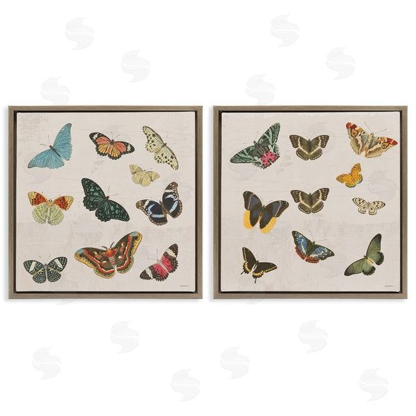 Stupell Industries Dan Meneely | Collection Of Vintage Butterflies Wall Art