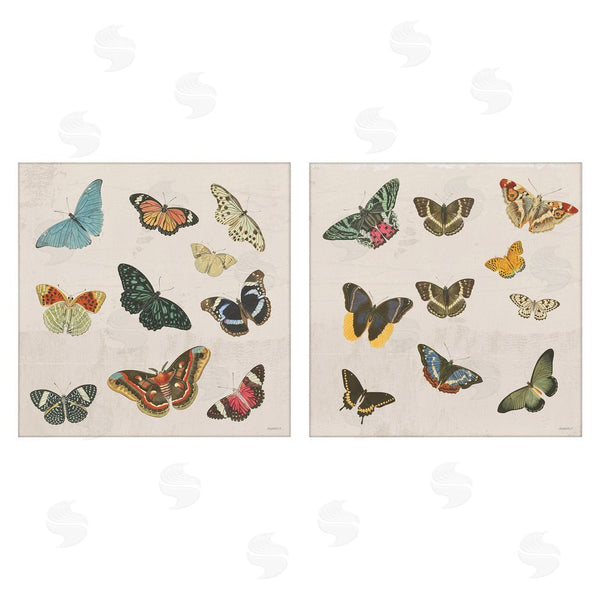 stupell industries Dan Meneely | Collection of Vintage Butterflies Wall Art