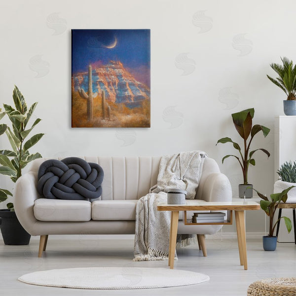 Stupell Industries Dan Meneely | Desert Canyon At Night Wall Art