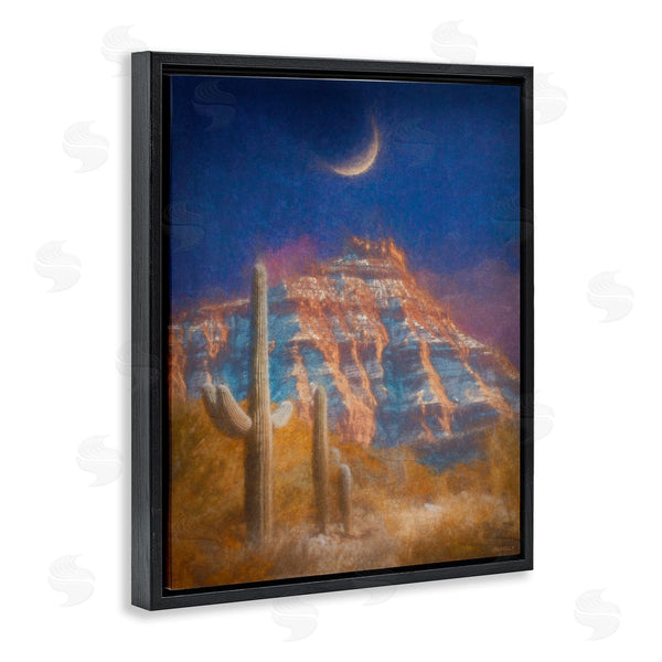 Stupell Industries Dan Meneely | Desert Canyon At Night Wall Art