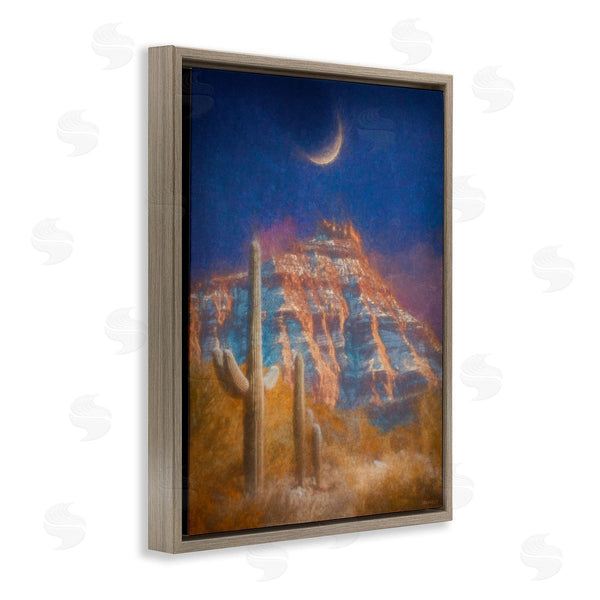 Stupell Industries Dan Meneely | Desert Canyon At Night Wall Art