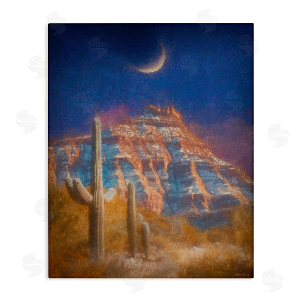 stupell industries Dan Meneely | Desert Canyon at Night Wall Art