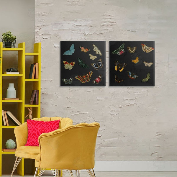 Stupell Industries Dan Meneely | Entomology Collection On Black Wall Art