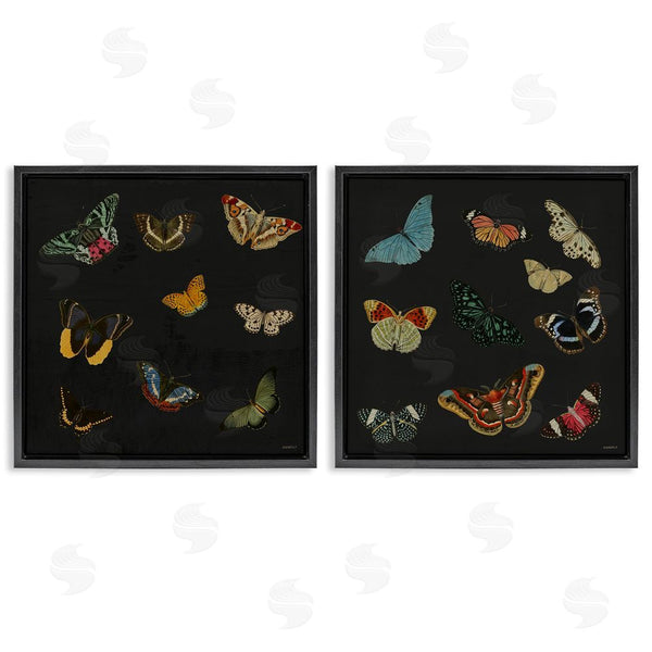 Stupell Industries Dan Meneely | Entomology Collection On Black Wall Art
