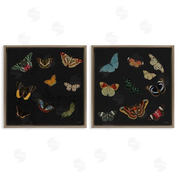 Stupell Industries Dan Meneely | Entomology Collection On Black Wall Art