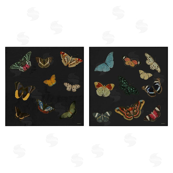 stupell industries Dan Meneely | Entomology Collection on Black Wall Art