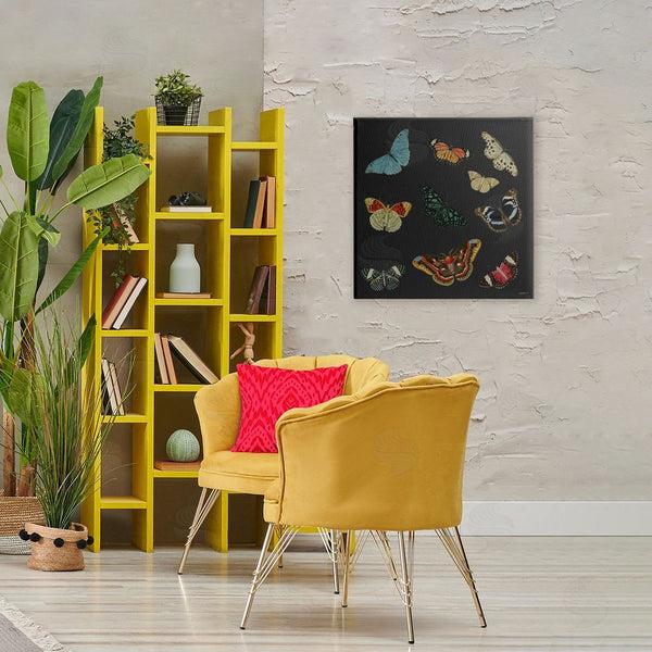 Stupell Industries Dan Meneely | Insects Group On Black Wall Art