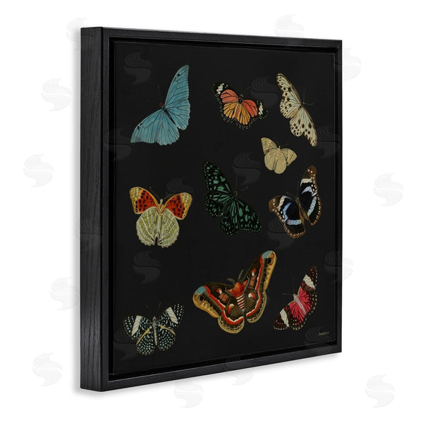 Stupell Industries Dan Meneely | Insects Group On Black Wall Art