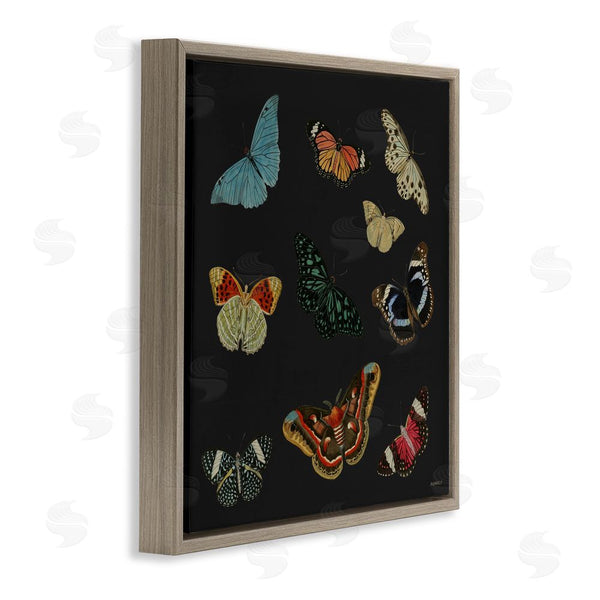 Stupell Industries Dan Meneely | Insects Group On Black Wall Art