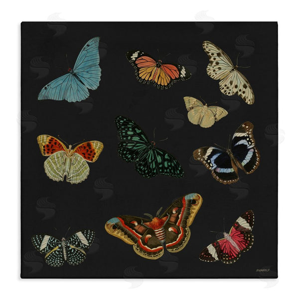 stupell industries Dan Meneely | Insects Group on Black Wall Art
